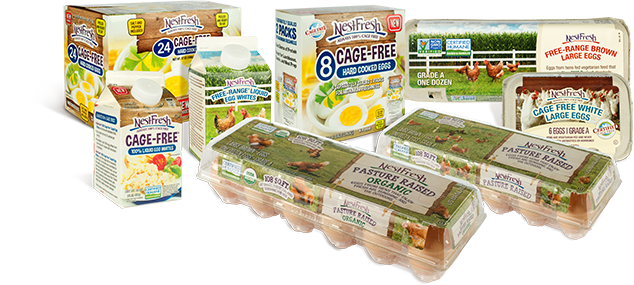 Group photograph of NestFresh cage free, pasture raised and USDA organic eggs in egg states including hard cooked, liquid and shelled eggs.