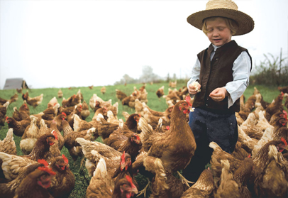 The young son of a hen farmer stands among a group of pasture raised chickens, feeding them from his hands. 